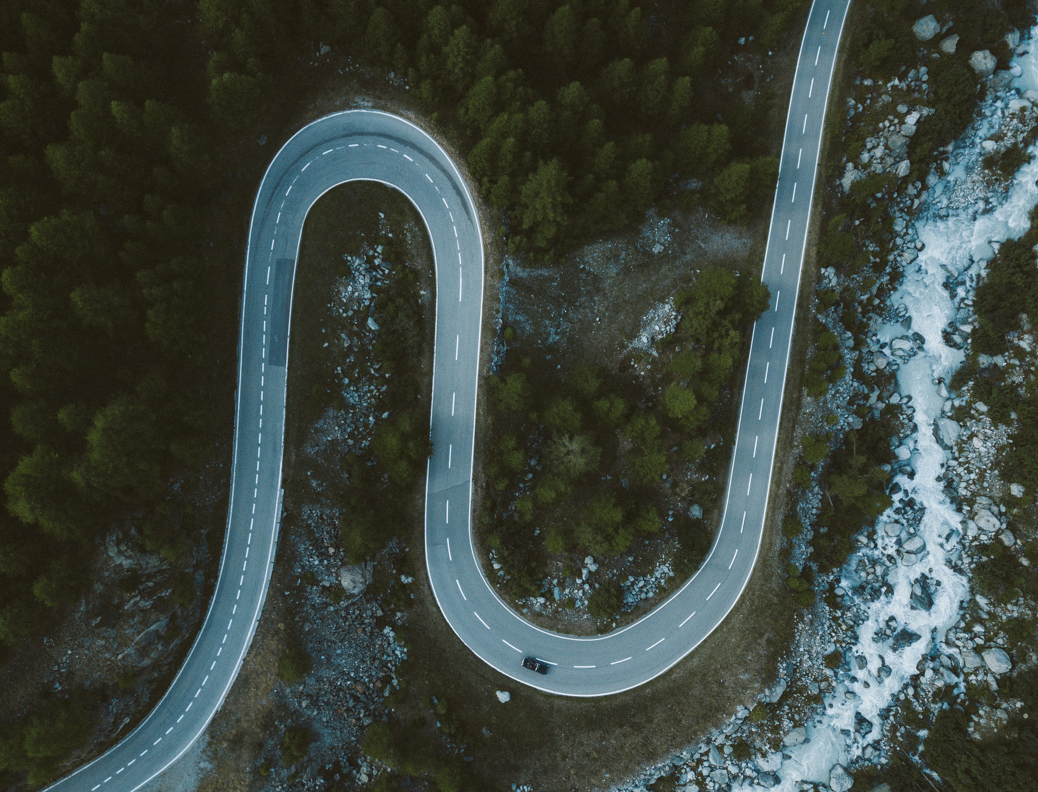 Forest highway